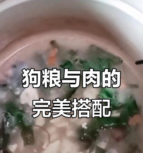 解决狗狗挑食问题的三种方法（让你的狗狗重新爱上吃饭）