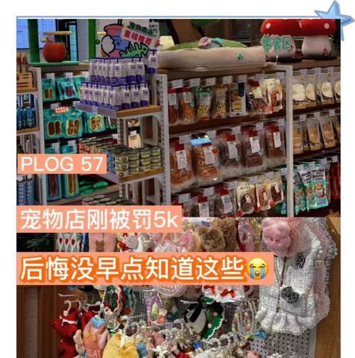 宠物店开业必备的许可证及办理流程（了解宠物店经营所需的合法许可证，确保顺利开展业务）