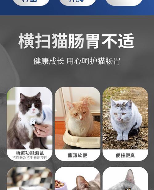 猫猫放屁的原因及解决方法（猫猫放屁，肠胃问题大揭秘）