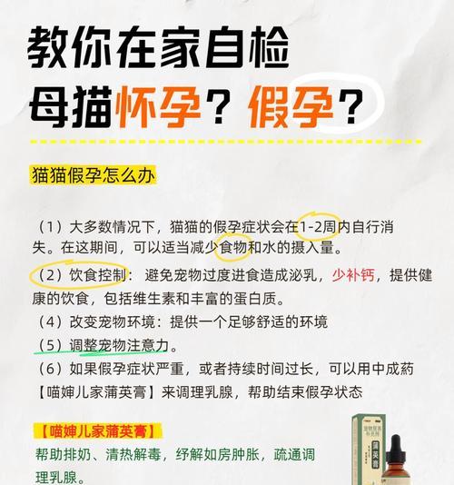 猫咪怀孕的行为特征（了解猫咪怀孕行为，为猫咪提供更好的照顾）