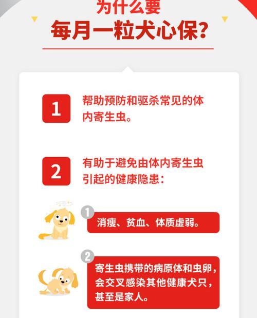狗体内驱虫后多久可以洗澡？（洗澡前需要注意的关键事项和时间安排）