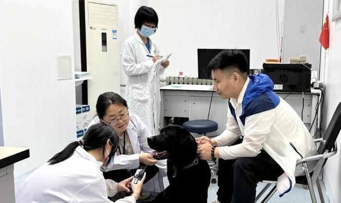 狗狗常规检查是如何进行的？（掌握狗狗常规检查的关键，维护它们的健康！）