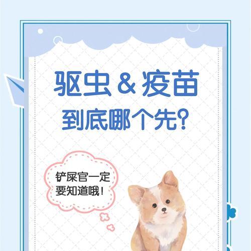 狗狗到新地方需要多久打预防针？（了解狗狗到新环境后打预防针的时间和注意事项）