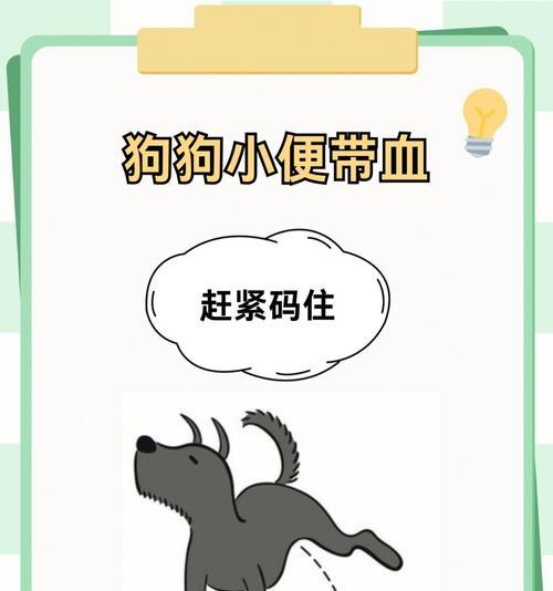 狗尿床的原因和解决方法（为什么狗会尿床？如何解决狗尿床的问题？）